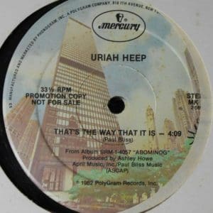 That's The Way That It Is (12" Single)