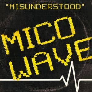 Misunderstood (12" Single)