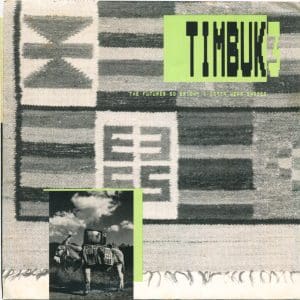 The Future's So Bright, I Gotta Wear Shades (45)