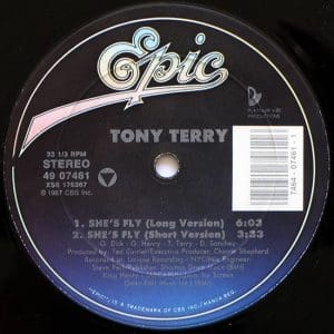 She's Fly (12" Single)