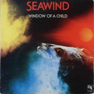 Window Of A Child