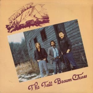 The Tall Brown Grass