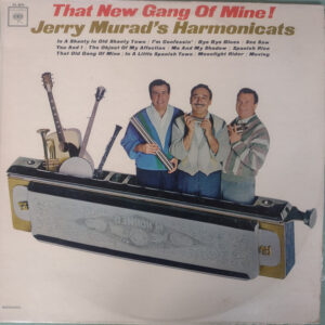 That New Gang Of Mine!