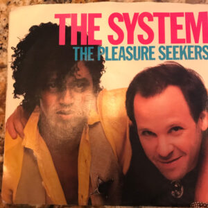 The Pleasure Seekers