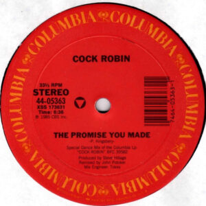 The Promise You Made (12″ Single)